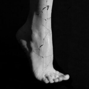 Quebradas.-N2.-Auditorio-900x900